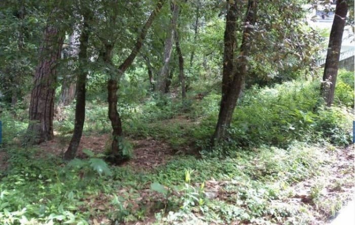 Se RENTA  Finca en Suchitepequez. EXCELENTE UBICACIÓN,  - foto 1
