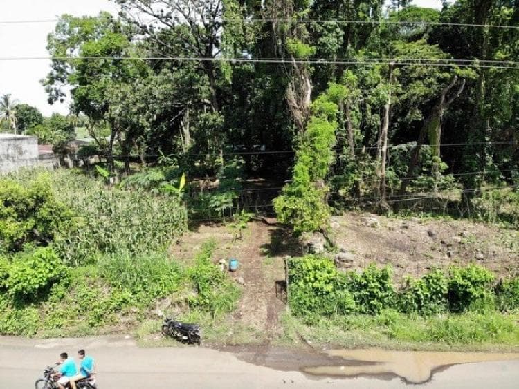 Terreno en Venta en Suchitepéquez, Cuyotenango. - foto 1