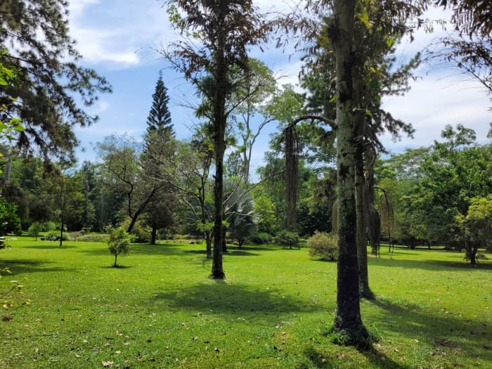 VENTA de hermoso terreno en Mazatenango. Venta terreno  - foto 1