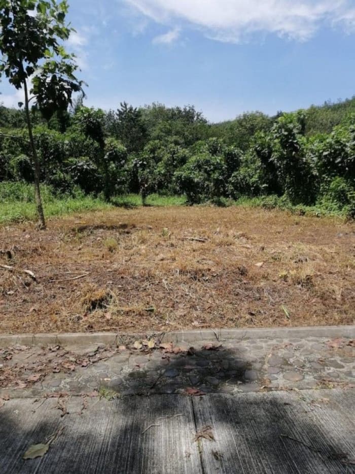 Terreno Residencial en venta en Cañadas de Coatepeque   - foto 1