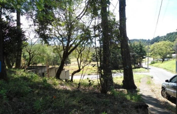 Se RENTA  Finca en Suchitepequez. EXCELENTE UBICACIÓN,  - foto 4