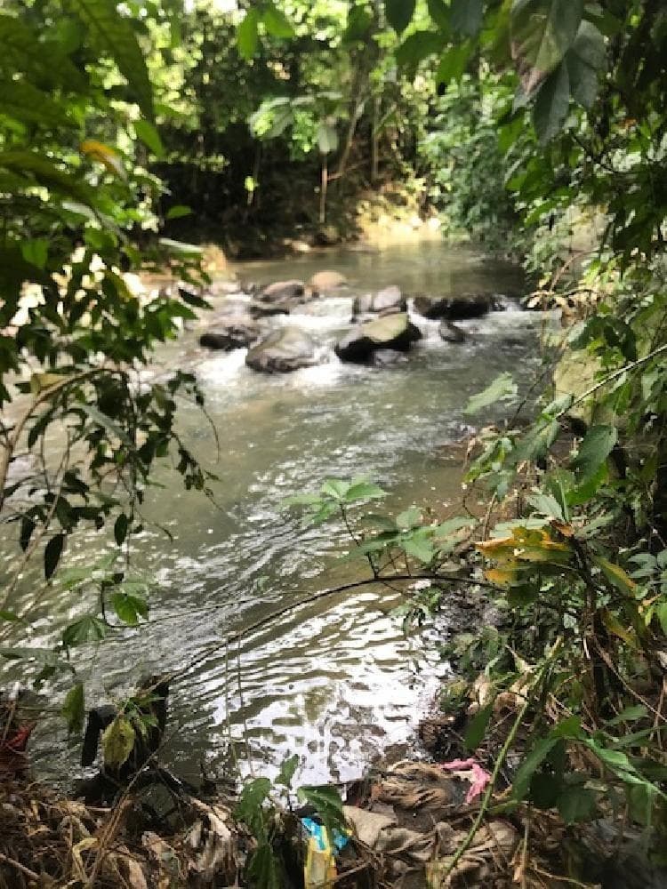 FINCA con plantación de hule Cuyotenango Suchitepequez. - foto 3
