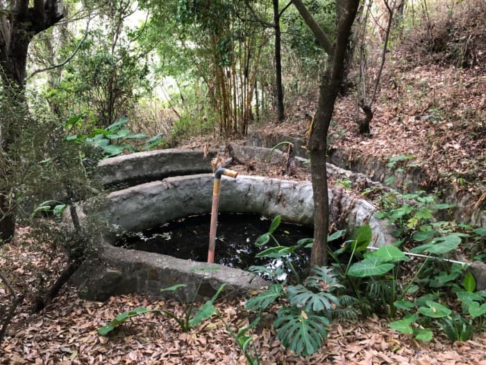 Venta Finca en Santa Catarina Palopo Atitlan Guatemala - foto 2