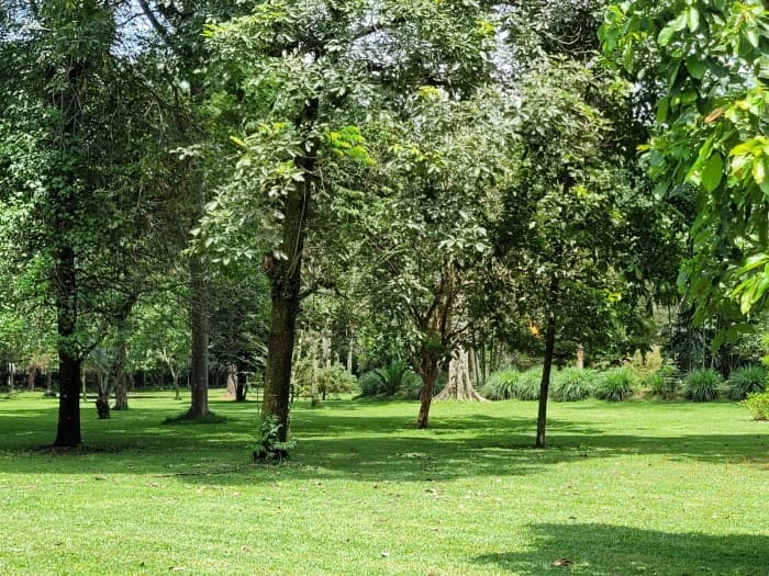 VENTA de hermoso terreno en Mazatenango. Venta terreno  - foto 3