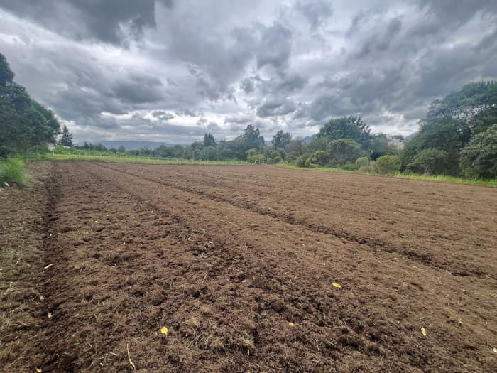 Finca o Terreno en Venta en Zona 1 de Quetzaltenango - foto 3