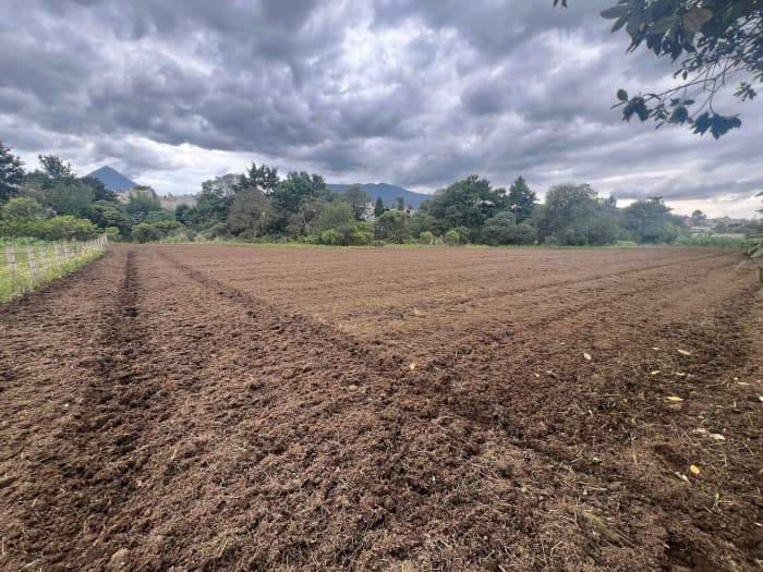 Finca o Terreno en Venta en Zona 1 de Quetzaltenango - foto 5