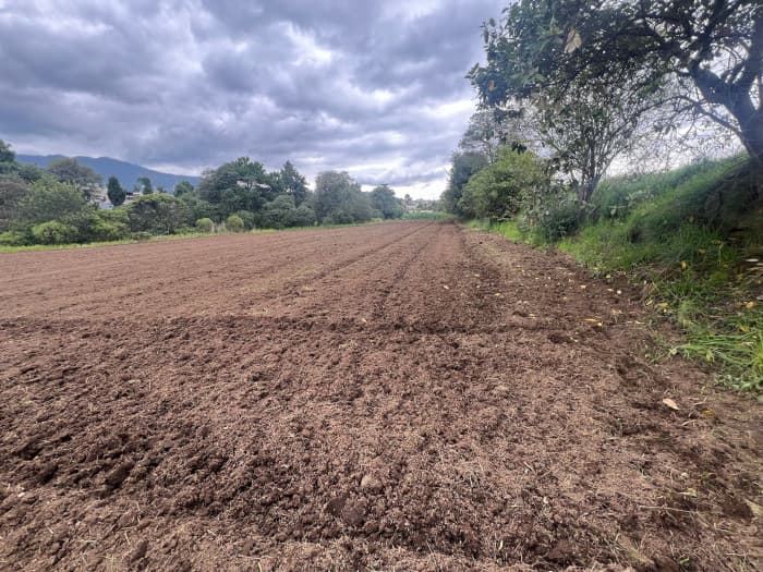 Finca o Terreno en Venta en Zona 1 de Quetzaltenango - foto 4