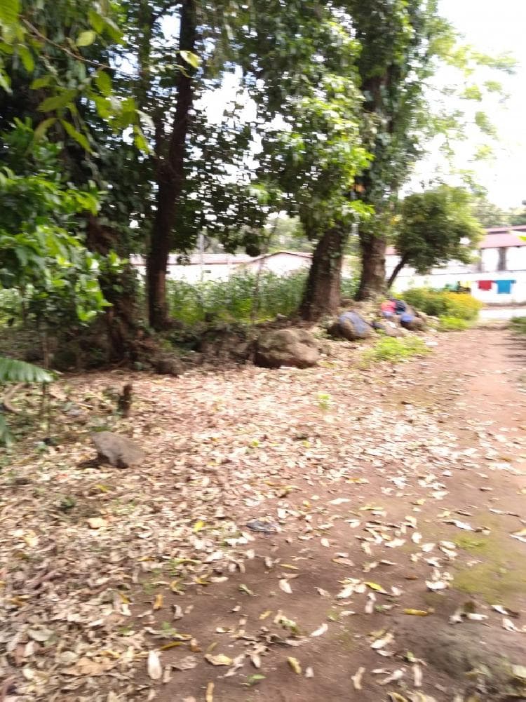 Terreno en Venta en Suchitepéquez, Cuyotenango. - foto 2