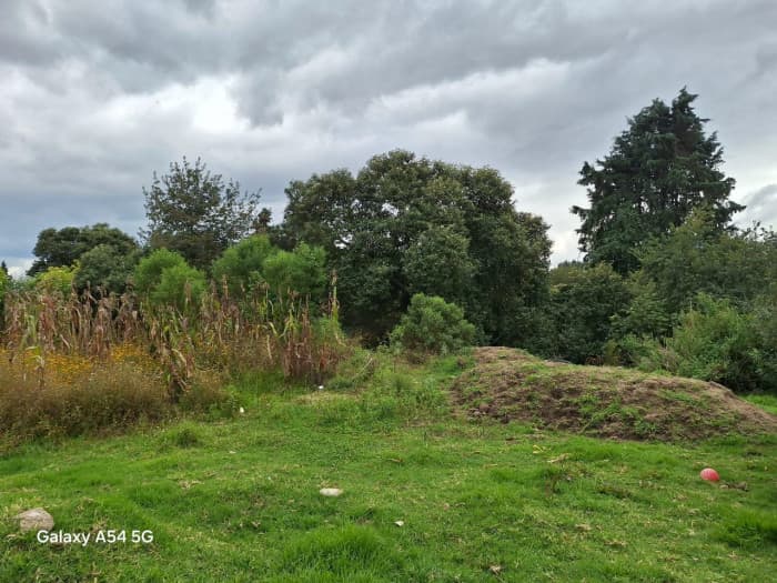 Finca o Terreno en Venta en Zona 1 de Quetzaltenango - foto 9