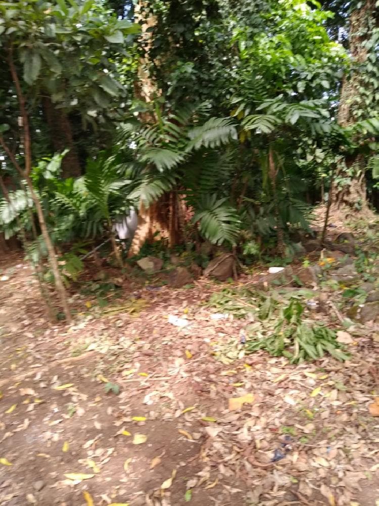 Terreno en Venta en Suchitepéquez, Cuyotenango. - foto 3