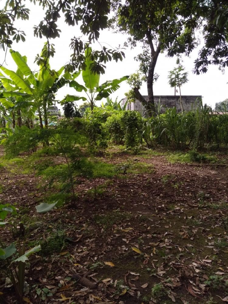 Terreno en Venta en Suchitepéquez, Cuyotenango. - foto 4