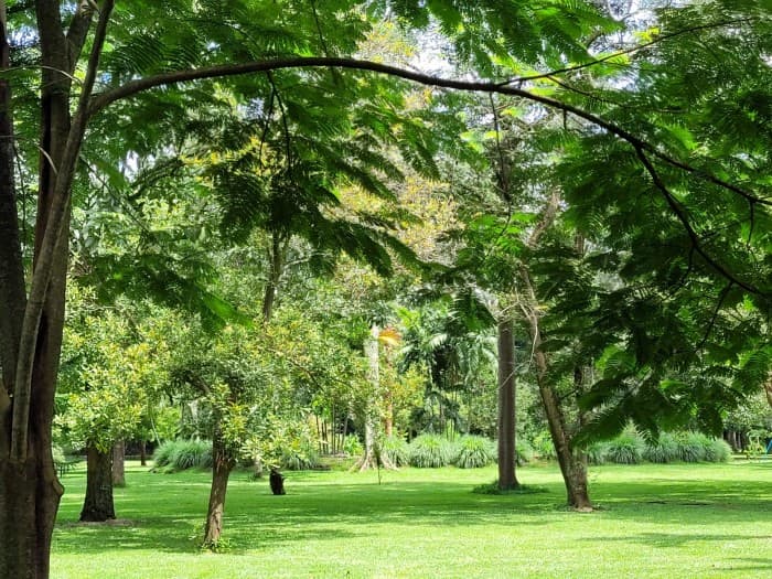 VENTA de hermoso terreno en Mazatenango. Venta terreno  - foto 4