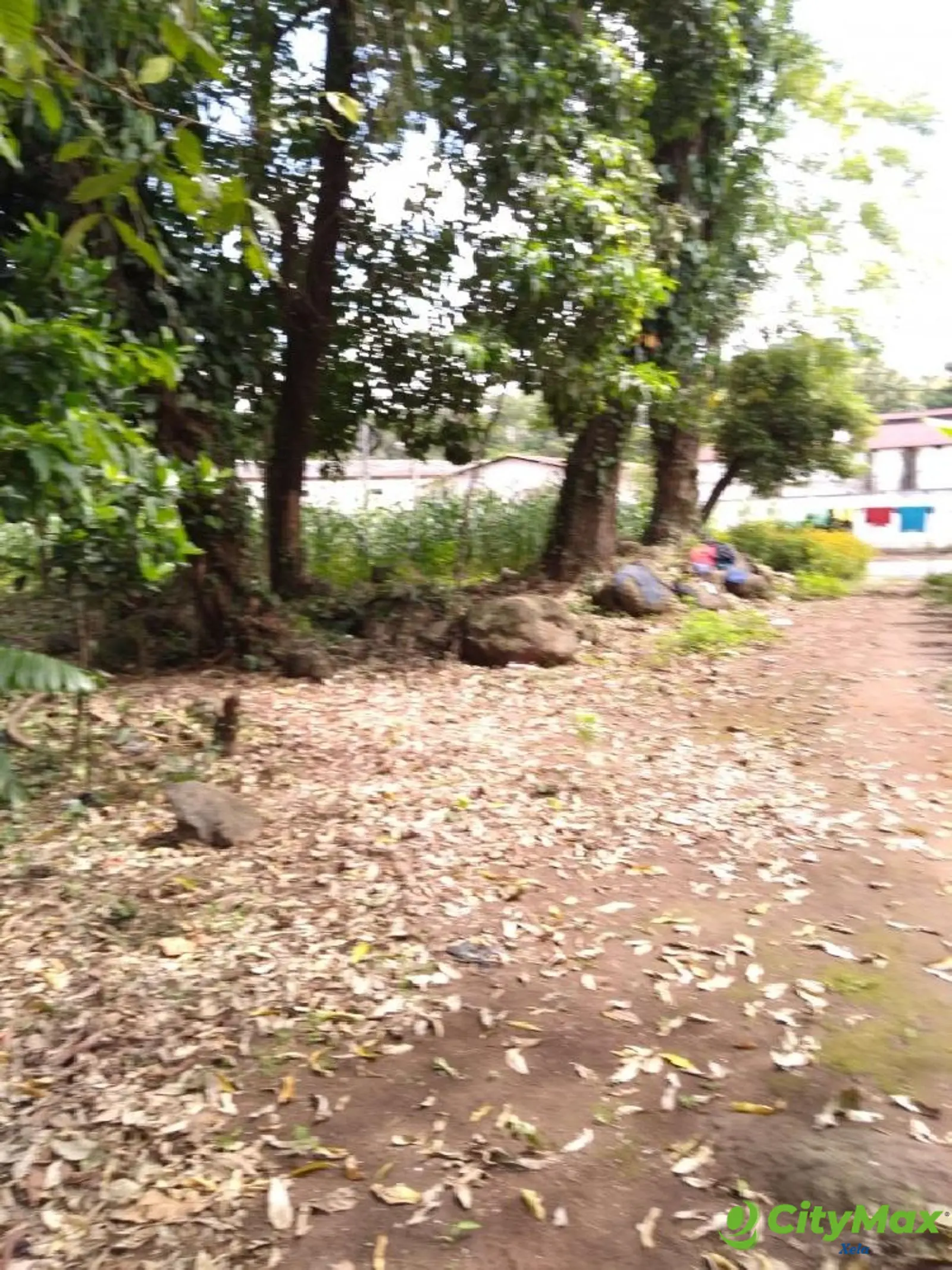 Terreno en Venta en Suchitepéquez, Cuyotenango. - foto 2