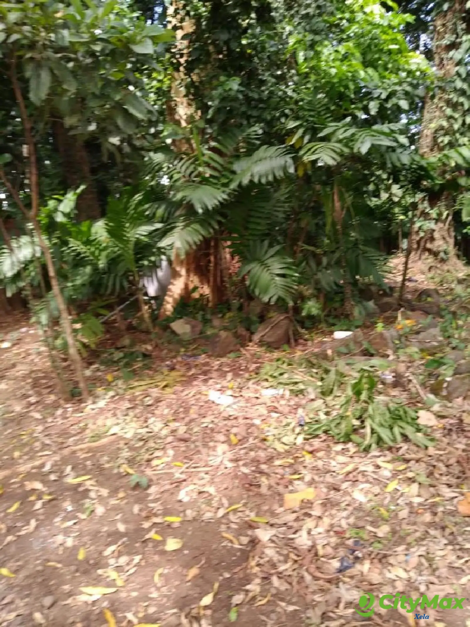Terreno en Venta en Suchitepéquez, Cuyotenango. - foto 3