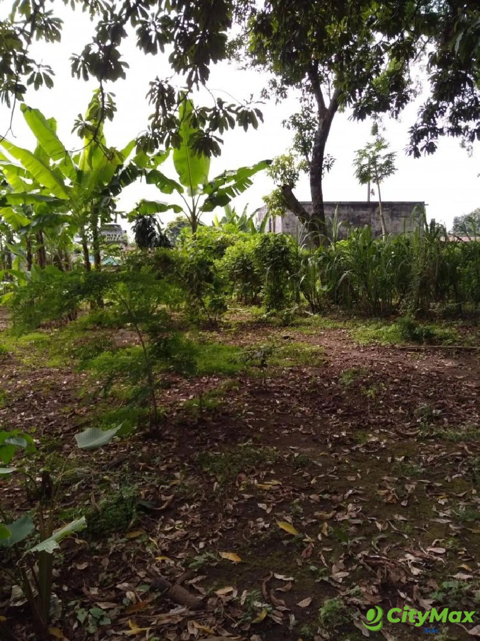 Terreno en Venta en Suchitepéquez, Cuyotenango. - foto 4